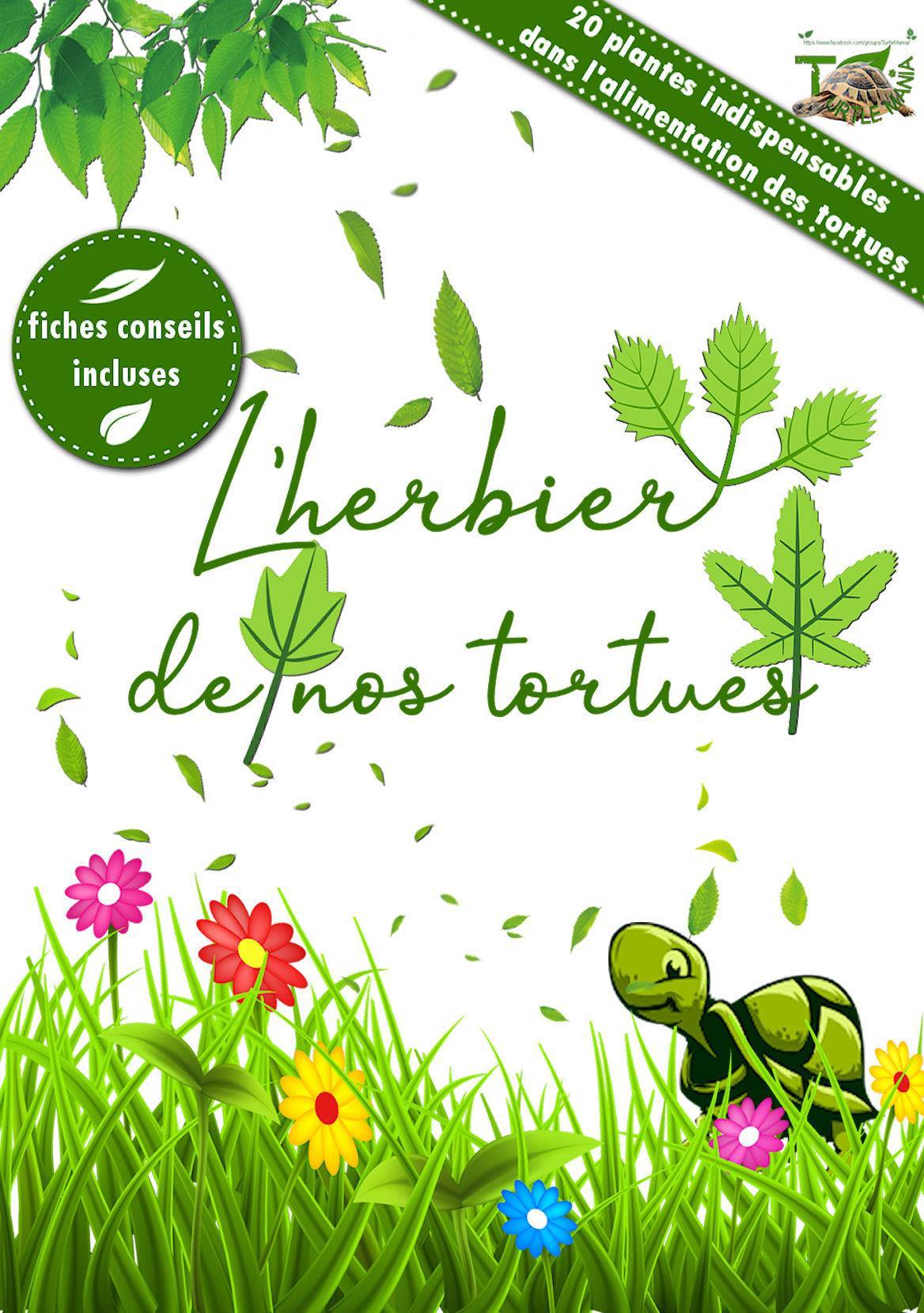 L'herbier de nos tortues huitième