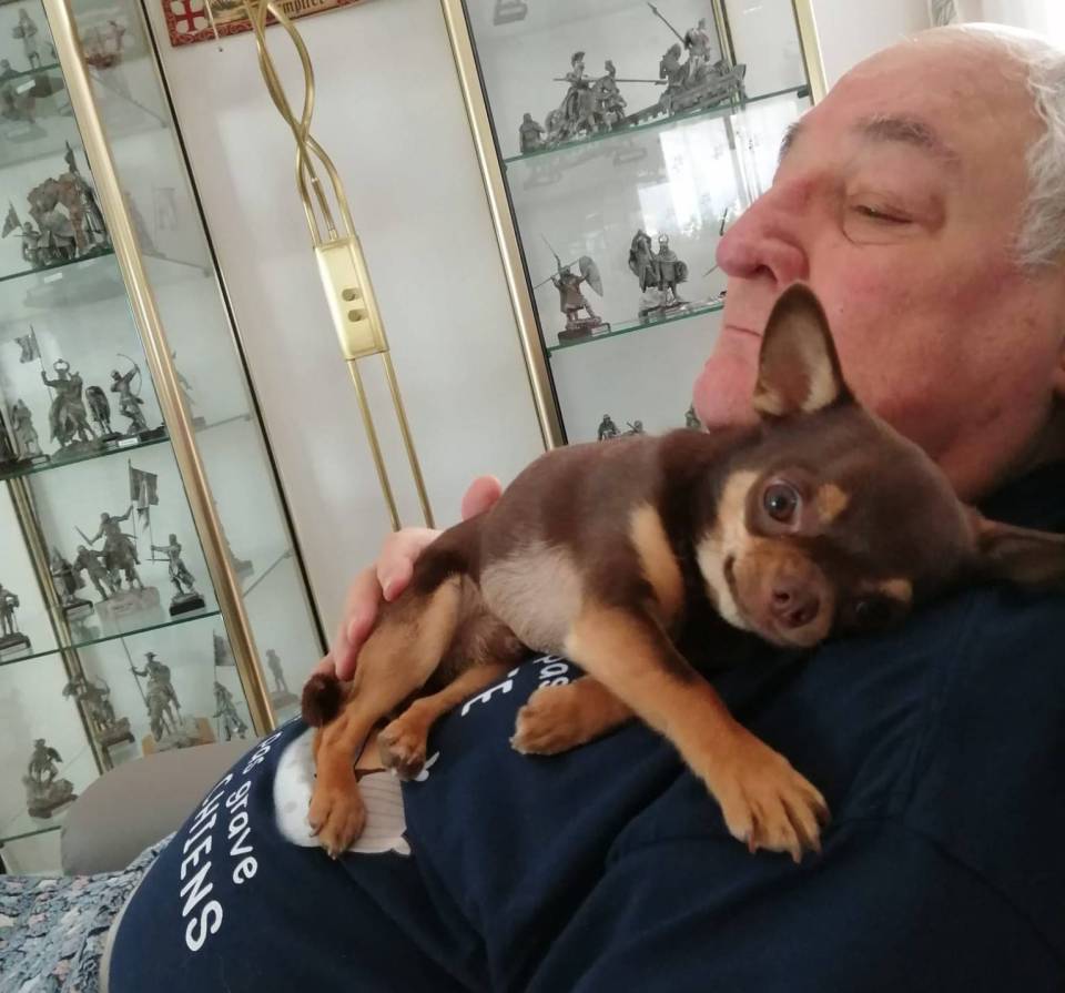 TeeLou et son Humain