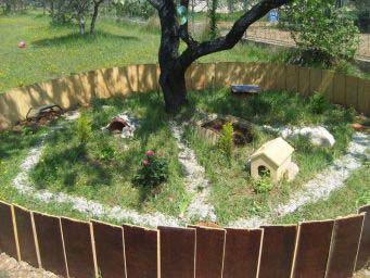 211b636d4b604d60f7dab6d6.jpg - photos 2010 324