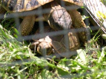 2a03409af3c12ab69385b4e0.jpg - 2010 070