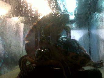 2b3529e05778e16e56d3f631.jpg - IMG00086-20110522-1139
