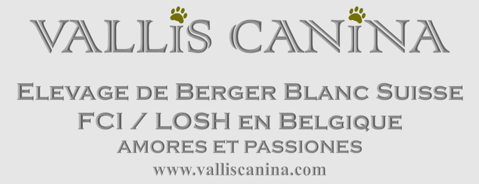 new logo2_facebookl