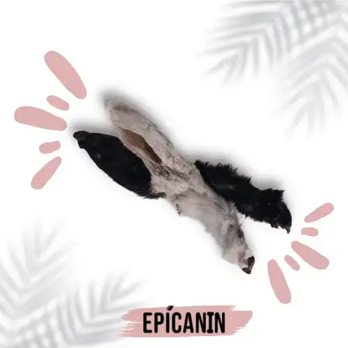 Oreille de lapin avec poils Epicanin cinquième