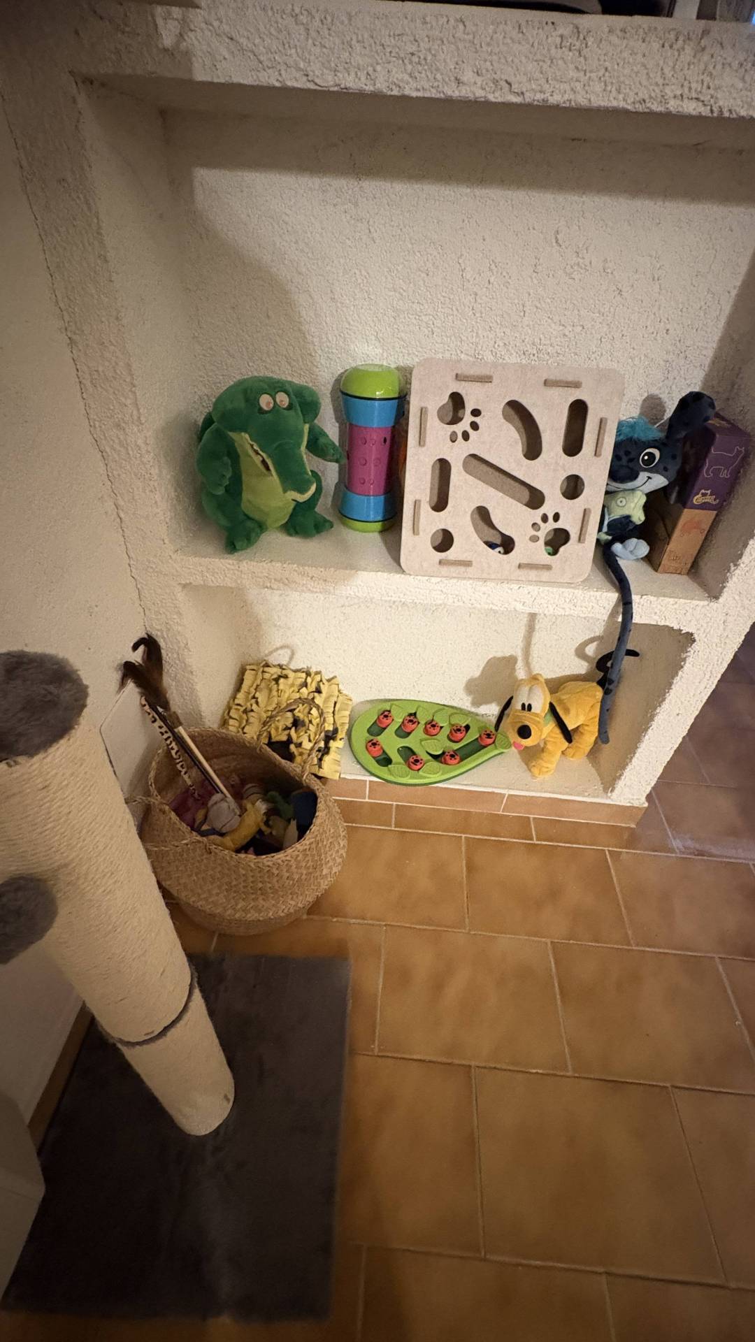 Hôtel pur chats à Contes  cinquième