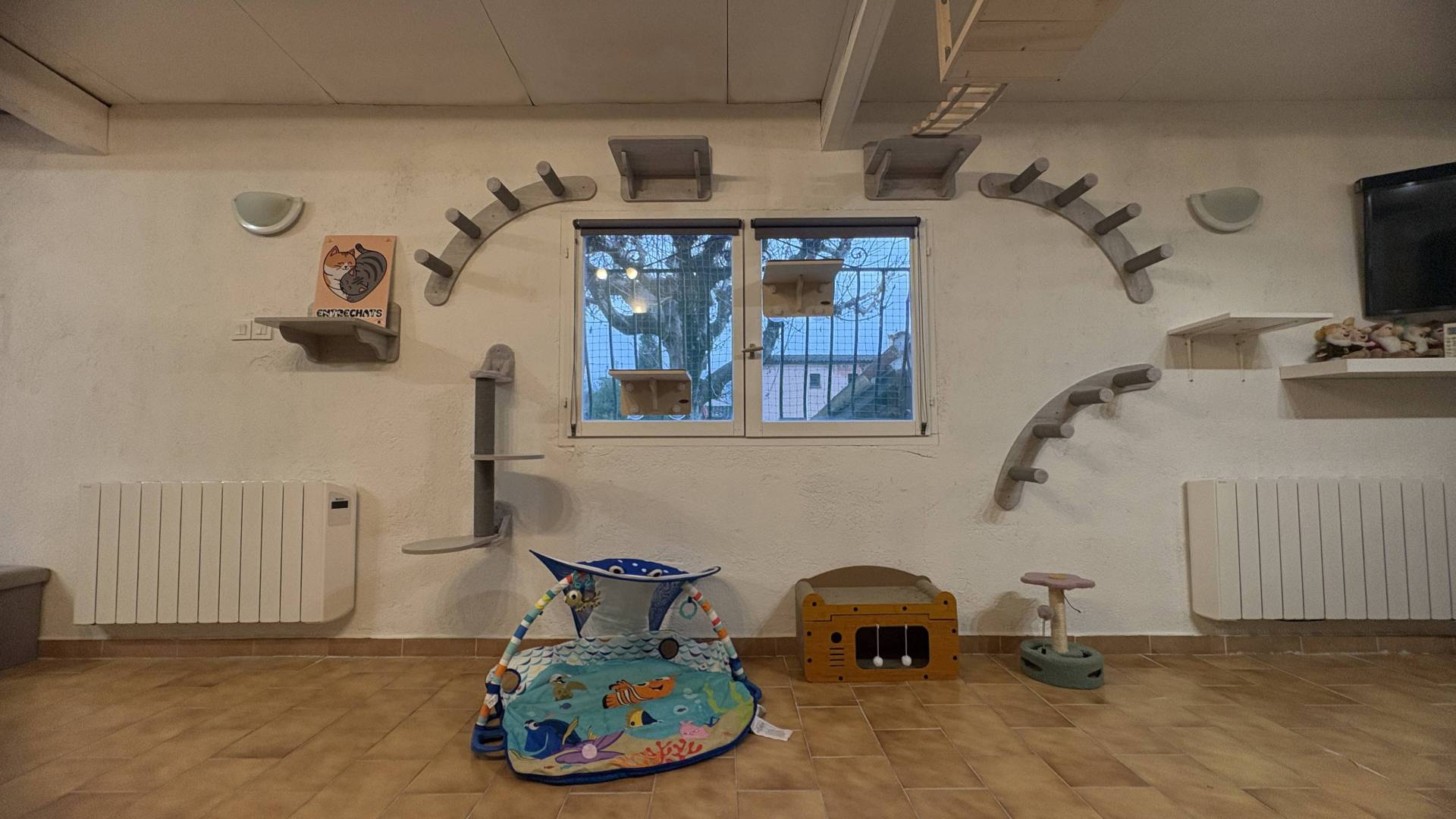 Hôtel pur chats à Contes  neuvième