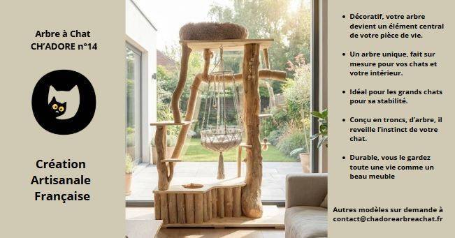 Arbre à Chat en bois design, idéal pour grands chats