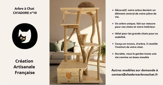 Arbre à Chat en bois design, idéal pour grands chats