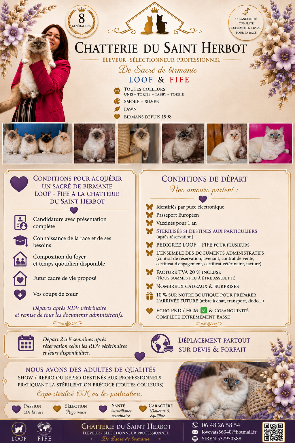 Adultes sacré de birmanie loof & fife deplacement ok partout deuxième