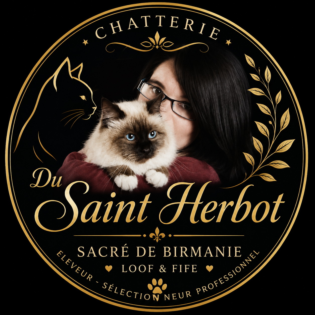 Adultes sacré de birmanie loof & fife deplacement ok partout première