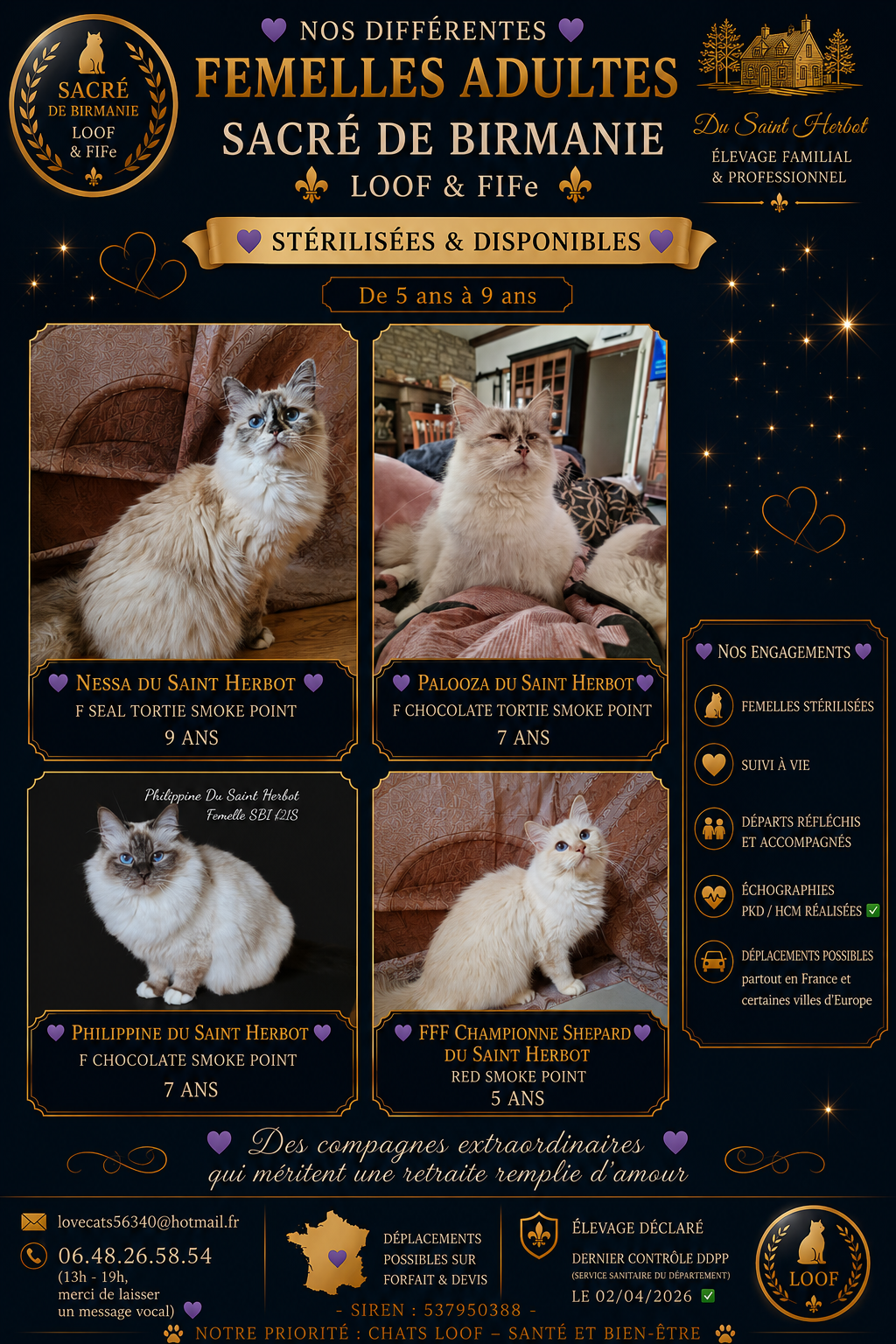 Adultes sacré de birmanie loof & fife deplacement ok partout sixième