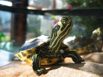 c3d12755d1d990114e4729d6.jpg - IMG_4509