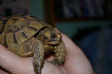 e2d9d13e7f30a9c5ae6bd3d2.jpg - gigi de profile