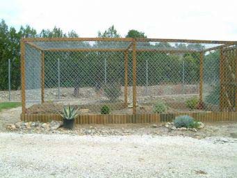 5ab3dbad966458f67aa26d77.jpg - les tortues 001