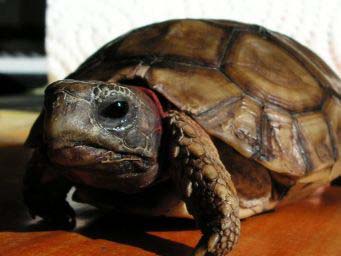 d4f9a780148bc25bece73f5b.jpg - 2009 171