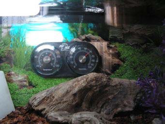 ae503741beb80126b34ada59.jpg - tortues 3 004
