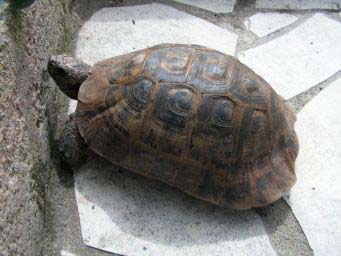 2f6f35b5e7e4dee13b0d49d7.jpg - mars 2010 002